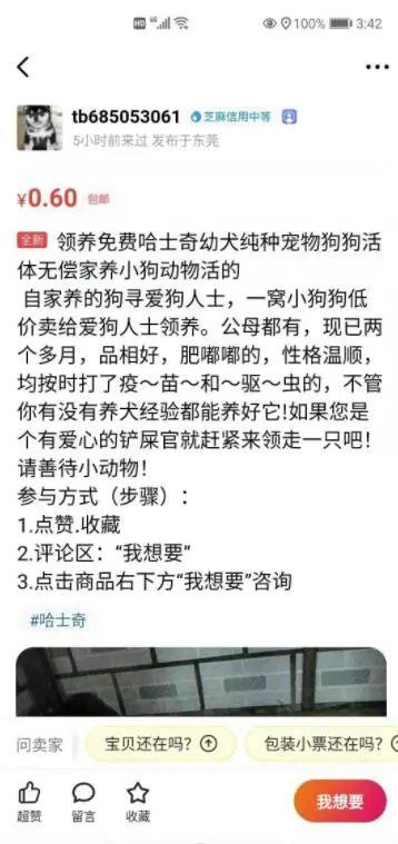 超强闲鱼宠物引流技巧，免费流量池